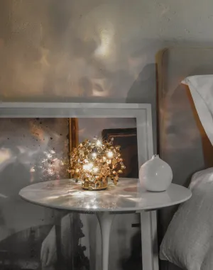 Argent, mon bijou portable table lamp