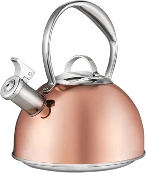 Camping Teapot, 304 Stainless Steel Teapot for Stove Top, 2.7QT Modern Tea Pot, Whistling Tea Kettles for All Stovetops