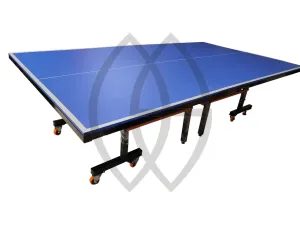 Champion's Table Tennis Bundle