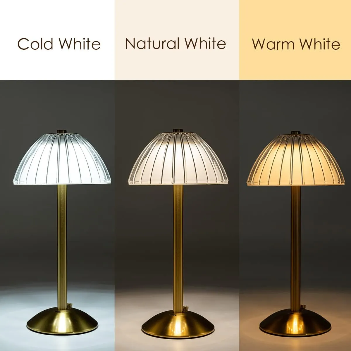 Cordless Table Lamps for Home,Table,Dining Room, Gold Rechargeable Lamps, USB Charge 12'' Tall LED Brass Portable Outdoor Indoor Table Lamp with Built-in Dimmer (Gold)