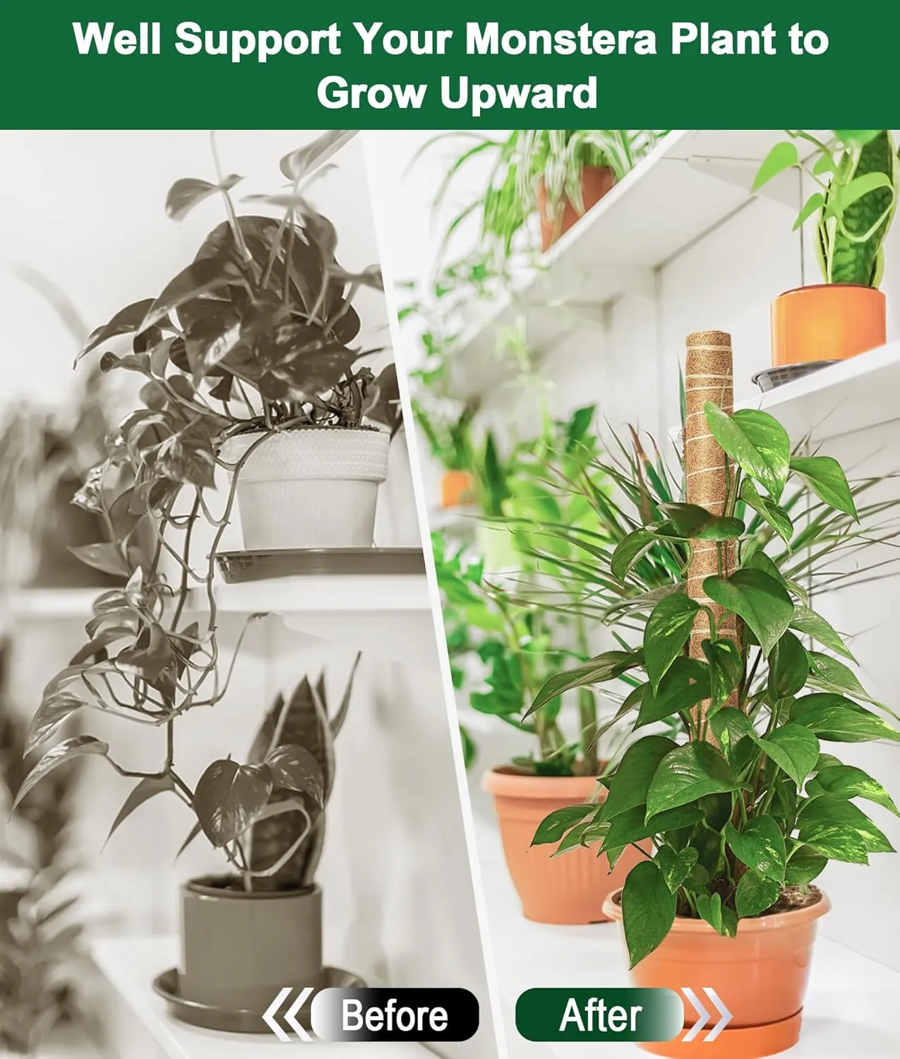 EAONE Moss Pole 168 Inch, 8 Pack 21" Monstera Plant Support for Climbing Potted Live Plants Indoor, Stackable Coco Coir Moss Sticks Monstera Stakes for Pothos Philodendron, with Garden Labels & Ties