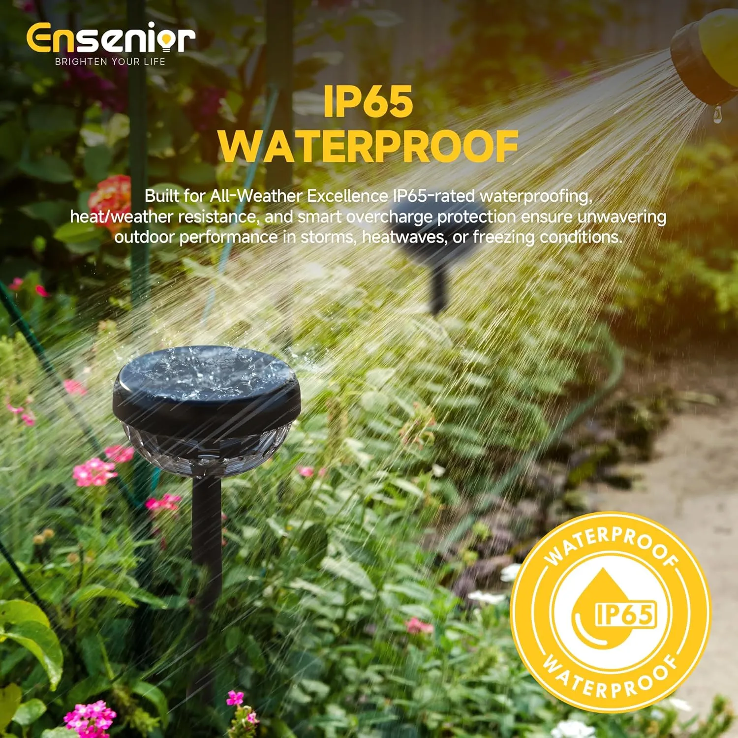 Ensenior 10-Pack Solar Lights Outdoor, Auto ON/Off 6500K LED Solar Garden Lights for Pathway, Yard, Patio, Walkway, Flower Bed, Waterproof, Energy-Efficient Landscape Lighting, Adjustable Height