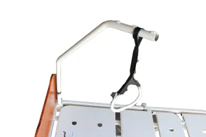 Floorline Self Help Pole and Handle