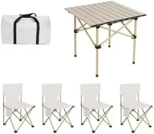 Folding Outdoor Camping Picnic Tables and Chairs, Carbon Steel Foldable Roll-up Table Top Small Picnic Table, Portable Fishing Chair Set, Easy to Assemble (53cm5PCSBlue Chair)