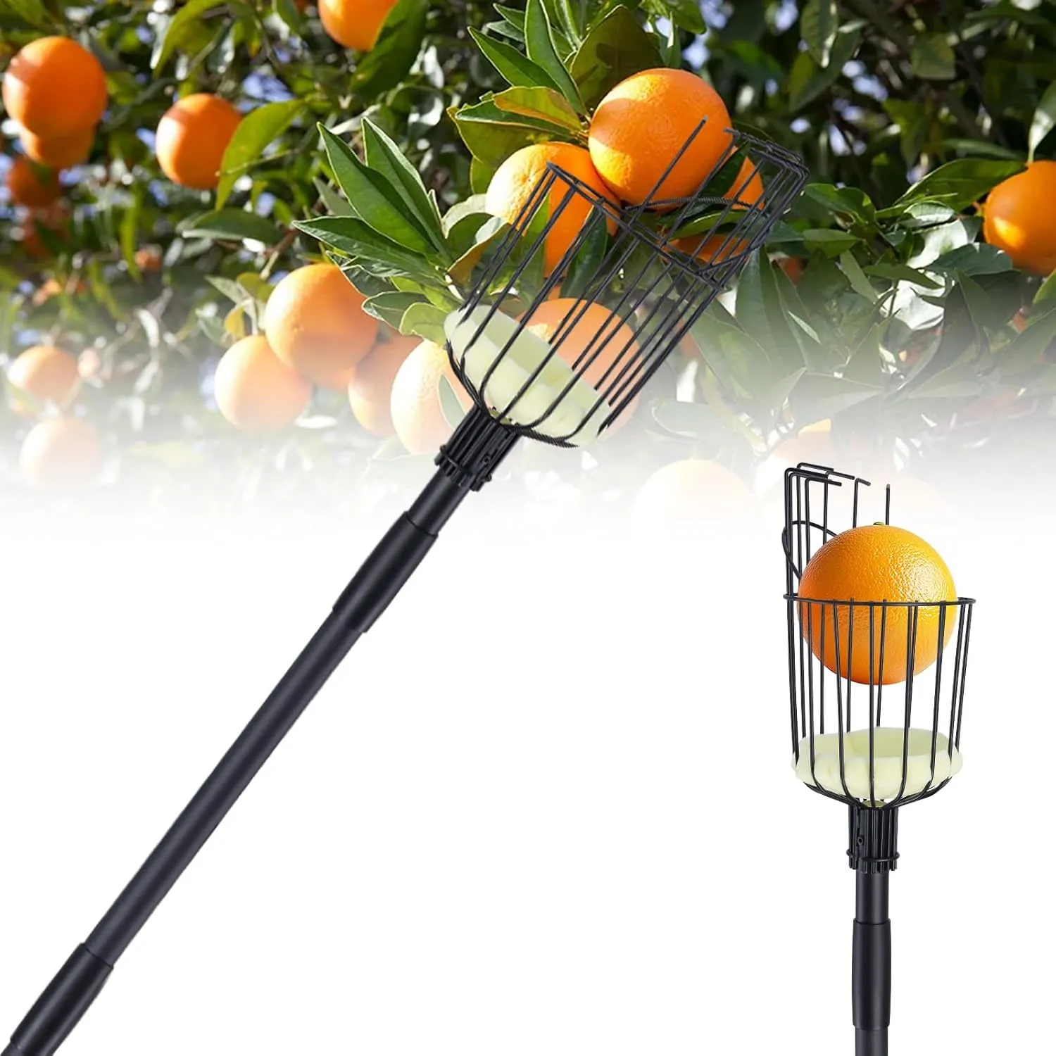 Fruit Picker Pole with Basket Telescoping, 10.7FT (130 Inch) Adjustable Fruits Picker Tool with Stainless Steel Handle Fruit Grabber Reach Tool for Apple Mango Pear Avocados Fruit Picking, Black