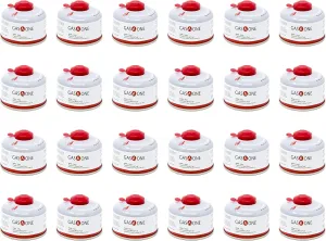 Gas One Isobutane Fuel Canister Camping Fuel Premium Blend 100g 3.53oz for Camp Stove and Isobutane Appliances (24 pc)