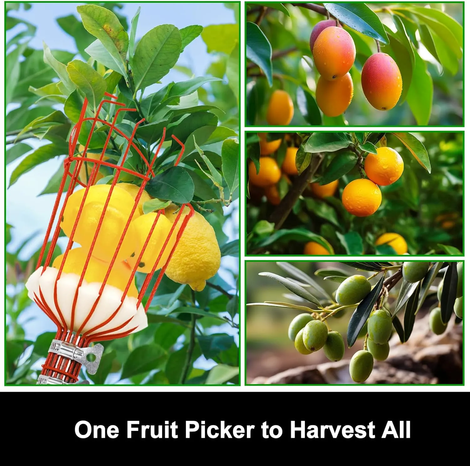 joyhalo Fruit Picker Polel with Basket, 8 Ft Apple Picker with Adjustable Stainless Steel Handle, Fruit Picking Basket for Getting Fruits Lemons Apples Guavas Avocados Pears Mangoes Oranges