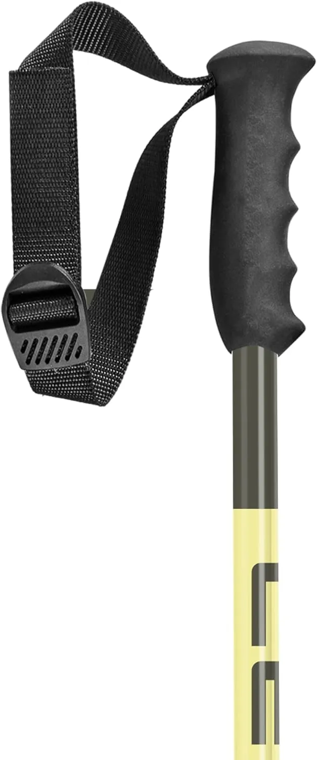 LEKI SWTCH Lightweight Aluminum Ski Poles for Downhill Skiing