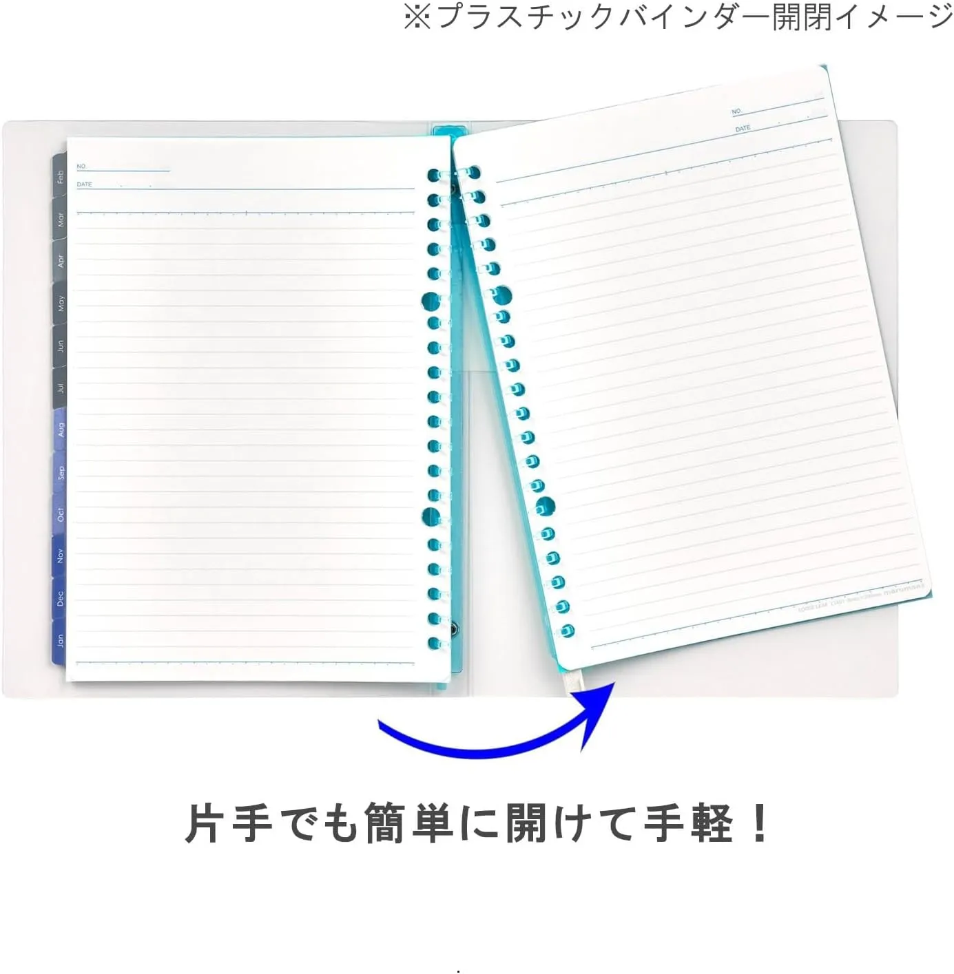 Maruman FD42-25-02 Planner, 2025 Schedule Book, Planner, Monthly, 20 Holes, A5, Blue, Starts January 2025