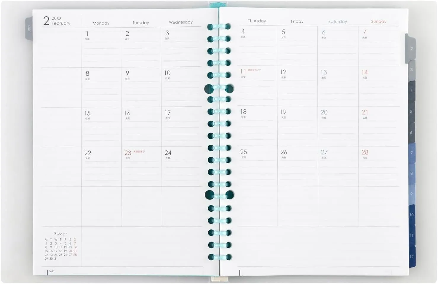 Maruman FD42-25-02 Planner, 2025 Schedule Book, Planner, Monthly, 20 Holes, A5, Blue, Starts January 2025