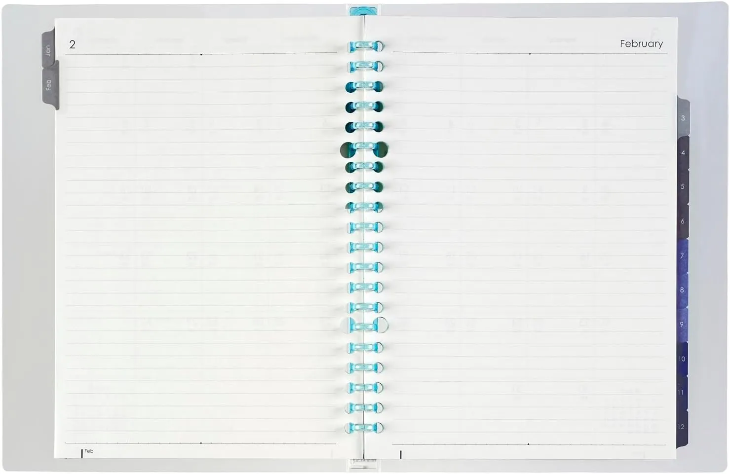 Maruman FD42-25-02 Planner, 2025 Schedule Book, Planner, Monthly, 20 Holes, A5, Blue, Starts January 2025