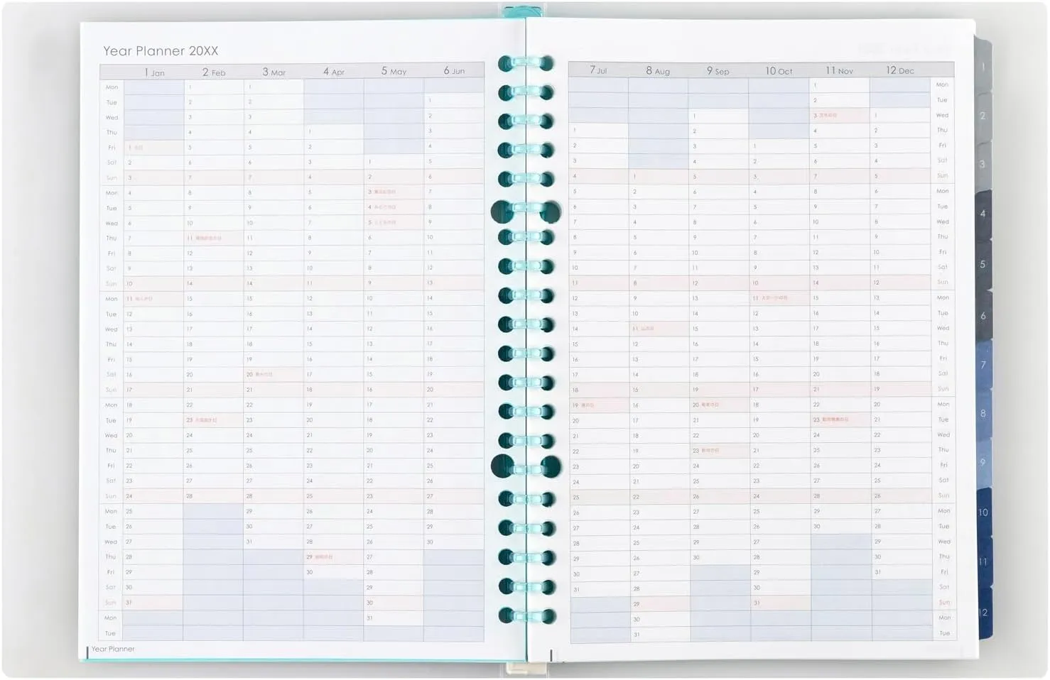 Maruman FD42-25-02 Planner, 2025 Schedule Book, Planner, Monthly, 20 Holes, A5, Blue, Starts January 2025