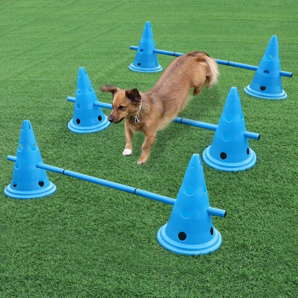 Pets Outdoor Sports Stake Pole Portable Pet Agility Equipment