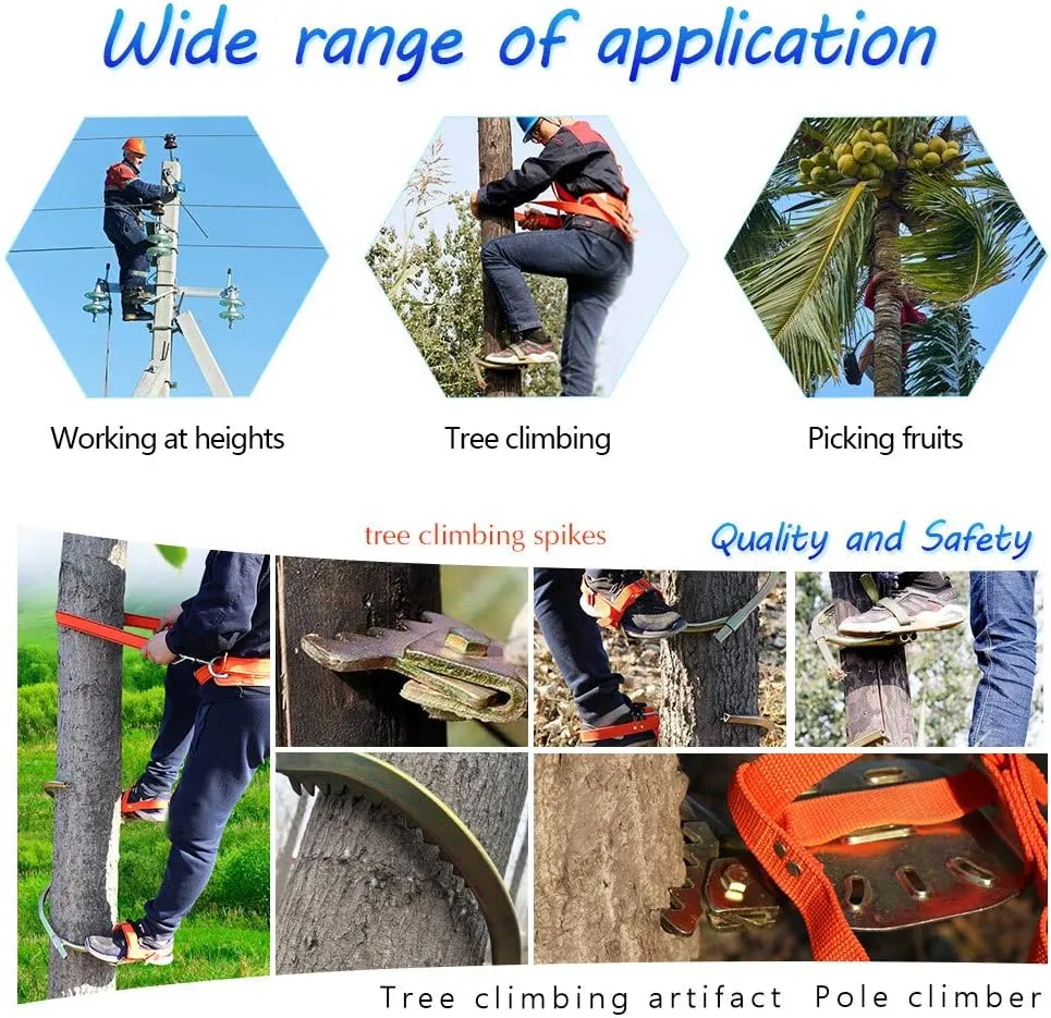 Pole Climbing Spikes, Tree Climbing Gear with Safe Belt, Adjustable Tree Climbing Spikes for Climbing Hunting Observation Picking Fruit,300model
