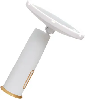 Portable Led Cosmetic Mirror Led Dressing Table Magnifying Makeup Enhancement