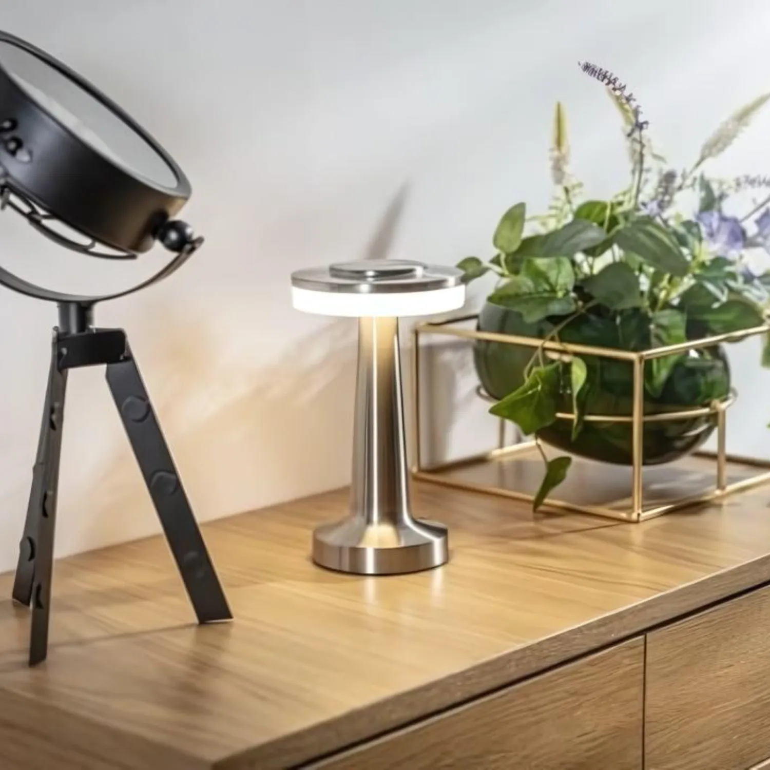 Radiance Portable Lamp