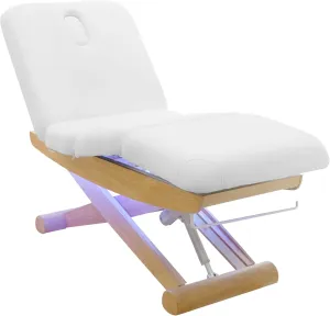SKINACT Sage Electric Spa Treatment Table (Massage, Facial Bed)