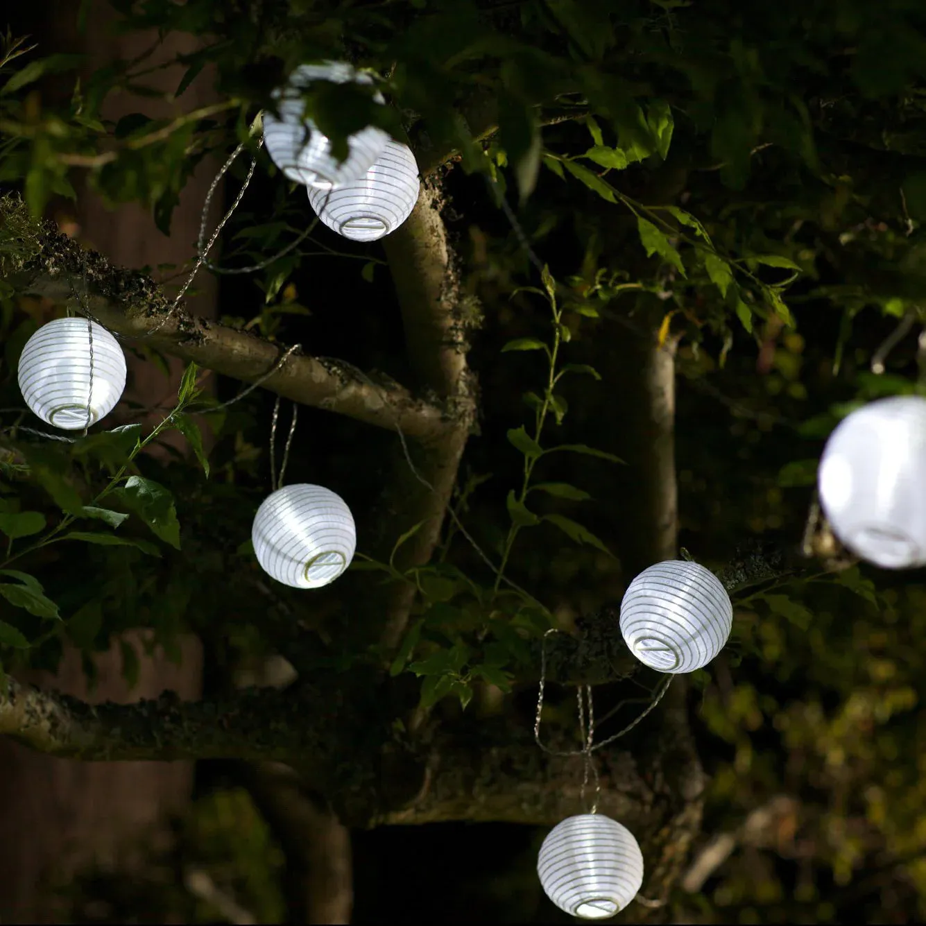 Soji Solar String Lights (10 piece) - White
