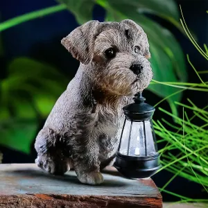 Solar Dog Garden Lantern Decoration Grey Schnauzer Puppy - 15cm By Bright Garden
