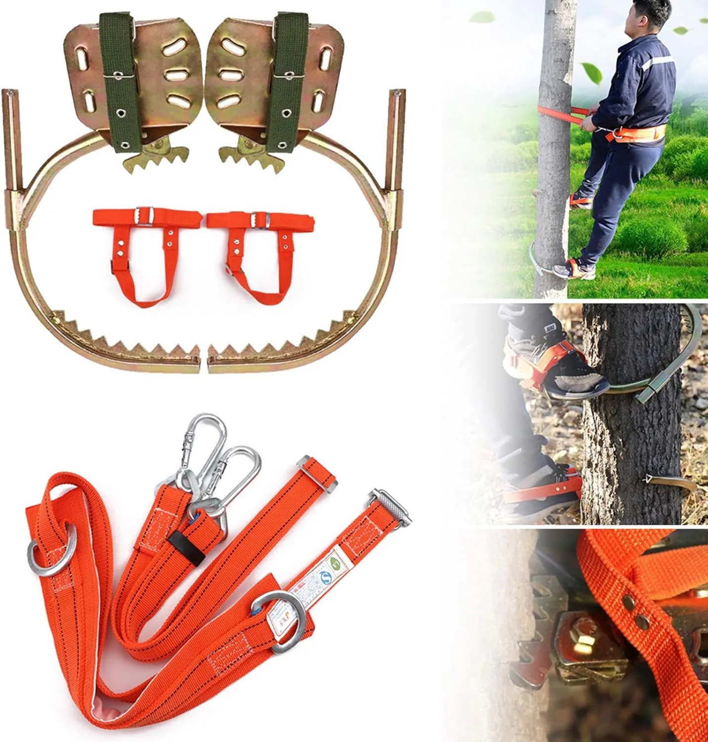 Tree Climbing Tool, Stainless Steel Professional Tree Climbing Gear Kit with Safe Belt, Adjustable Pole Climbing Spikes for Climbing Hunting Observation Picking Fruit,300model